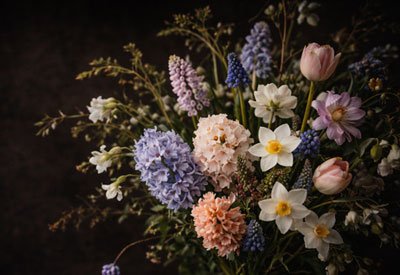 Content-Box-Spring-Flowers Mixed spring bouquet with tulips, narcissus, and early flowers