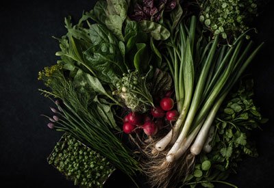 Fresh spring vegetables with greens, radishes, and herbs