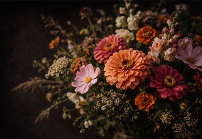 Content-Box-Summer-Flowers Fall flower bouquet with dahlias, cosmos, and marigolds